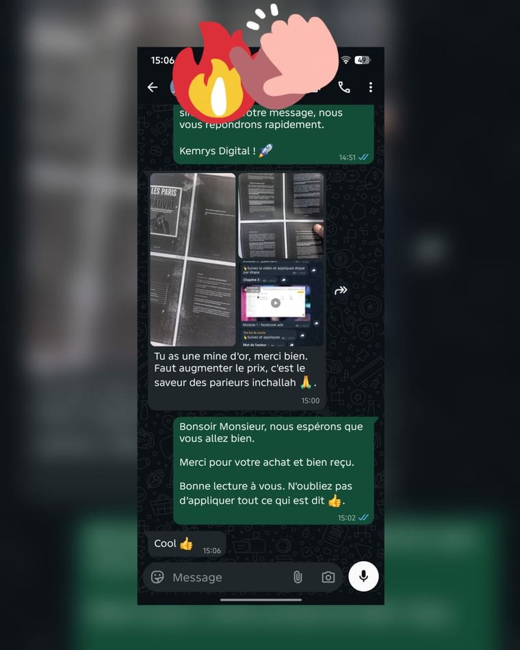 Message WhatsApp d'un lecteur remerciant pour le livre et disant qu'il a une mine d'or entre les mains